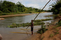 Over de rivier Rianila worden bamboe en bananan vervoerd